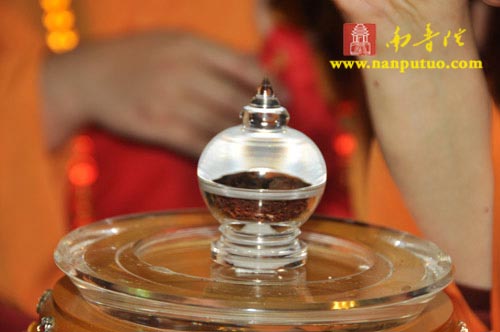 印顺导师舍利回归迎奉法会交接仪式在南普陀寺隆重举行(图19)