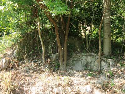 雁荡山能仁村发现宋代高僧能仁寺开山祖师全了塔(图3)