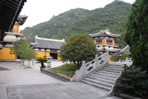 金秋十月雁荡山能仁寺金桂飘香(图7)