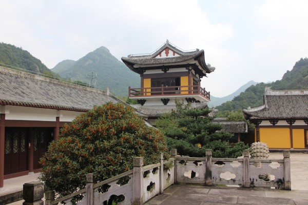金秋十月雁荡山能仁寺金桂飘香(图16)