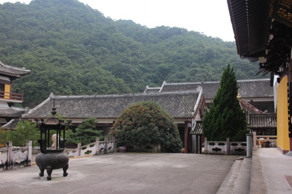 金秋十月雁荡山能仁寺金桂飘香(图17)