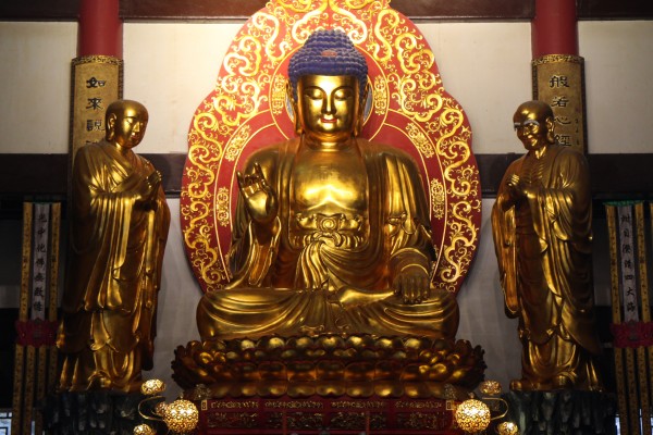 温州雁荡山能仁寺冬季弥陀佛七法会功德圆满(图8)