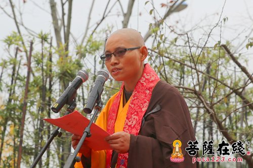 梵音禅寺修缮圆满开启新篇章 全堂佛像开光放异彩(图11)
