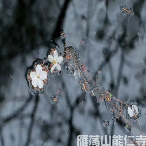 《地藏菩萨本愿经》讲记 （62）