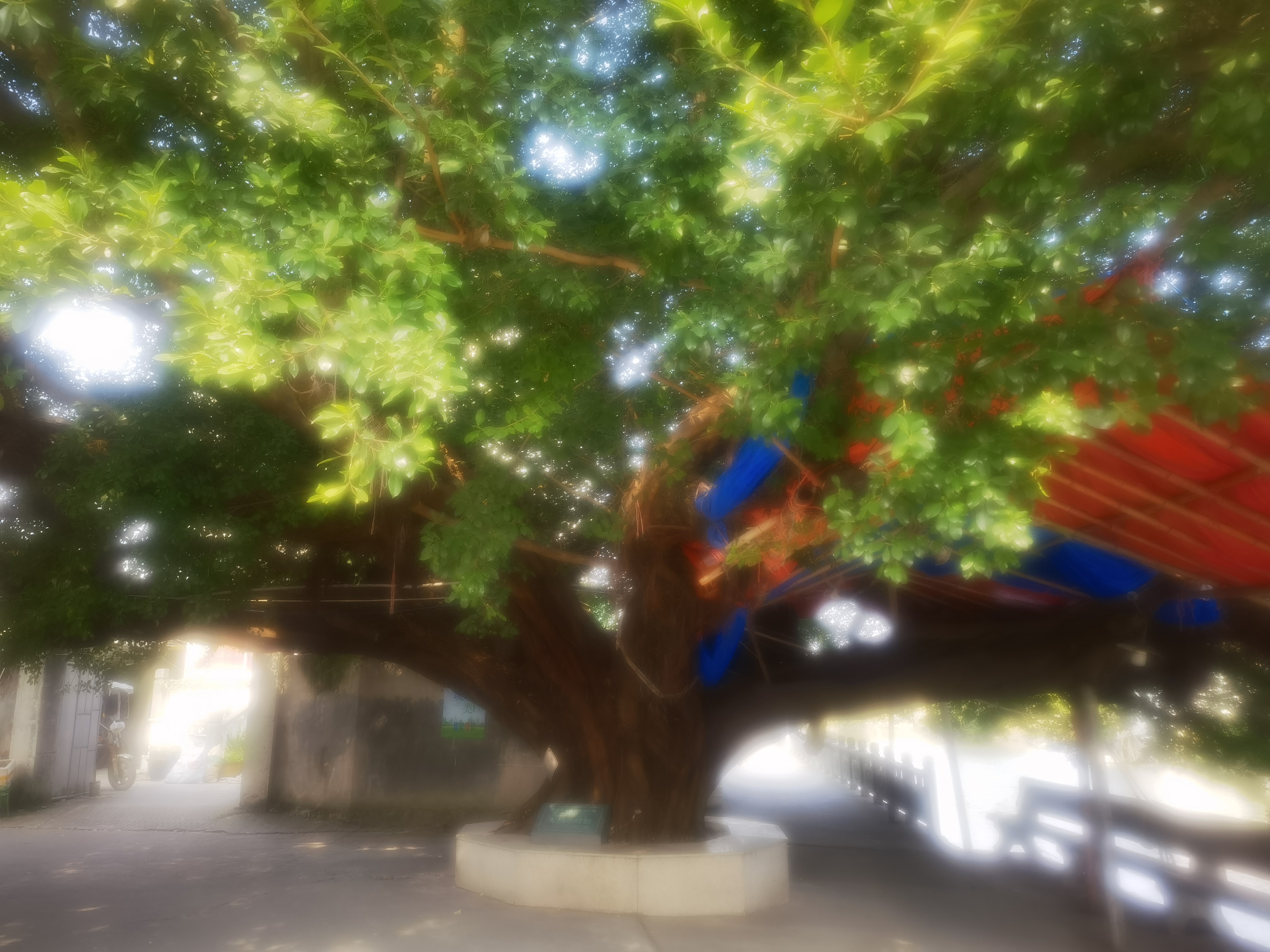 南怀瑾故里游记(图6)